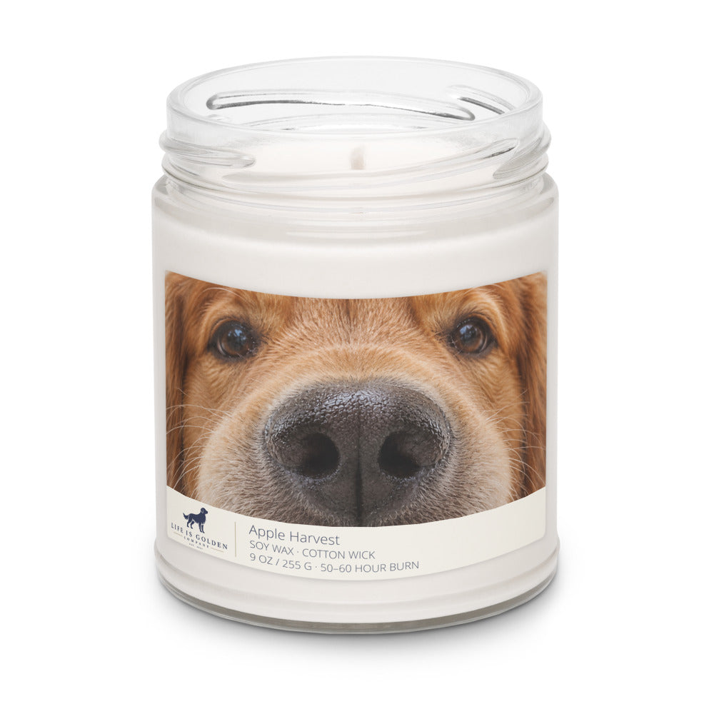 Golden Boop — Red Field Golden Apple Harvest Candle — Apple Harvest (view 3)