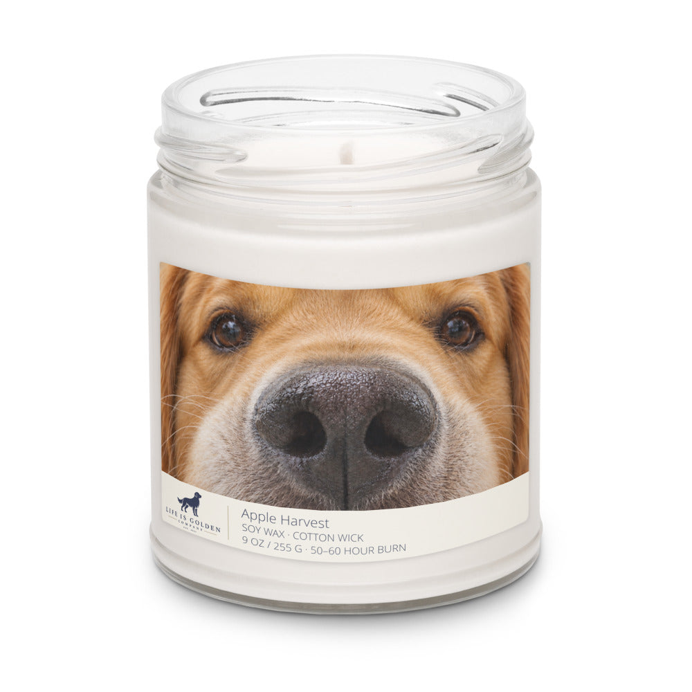 Golden Boop — Traditional Gold Apple Harvest Candle — Apple Harvest (view 3)