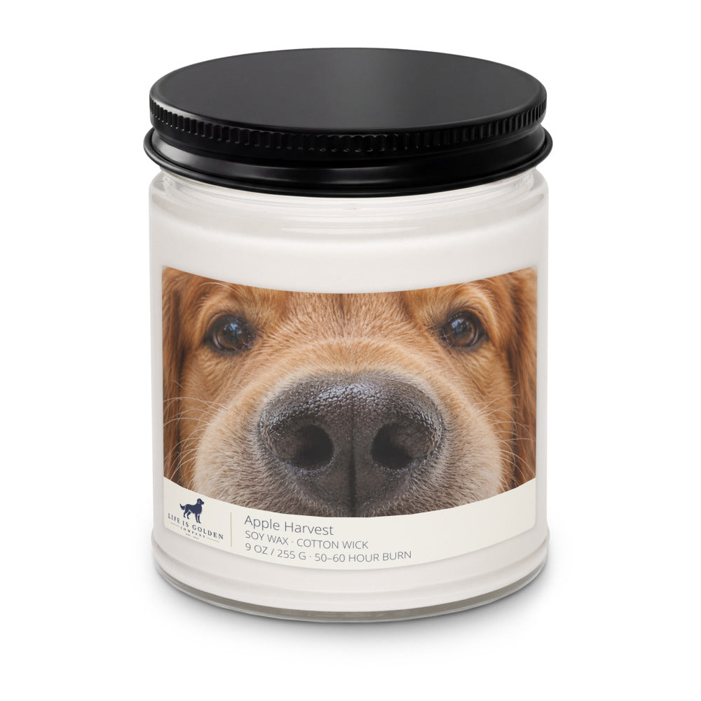Golden Boop — Red Field Golden Apple Harvest Candle — Apple Harvest (view 2)