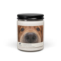 Golden Boop — Red Field Golden Christmas Warmth Candle — Christmas Warmth