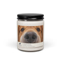 Golden Boop — Traditional Gold Cinnamon Vanilla Candle — Cinnamon Vanilla