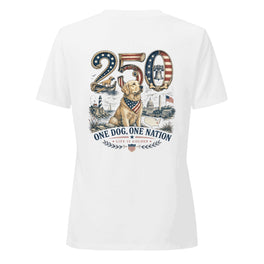 The Semiquincentennial Women's V-Neck