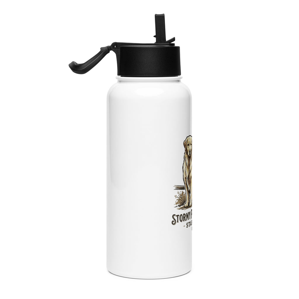 Stormy Point Stainless steel water bottle with a straw lid