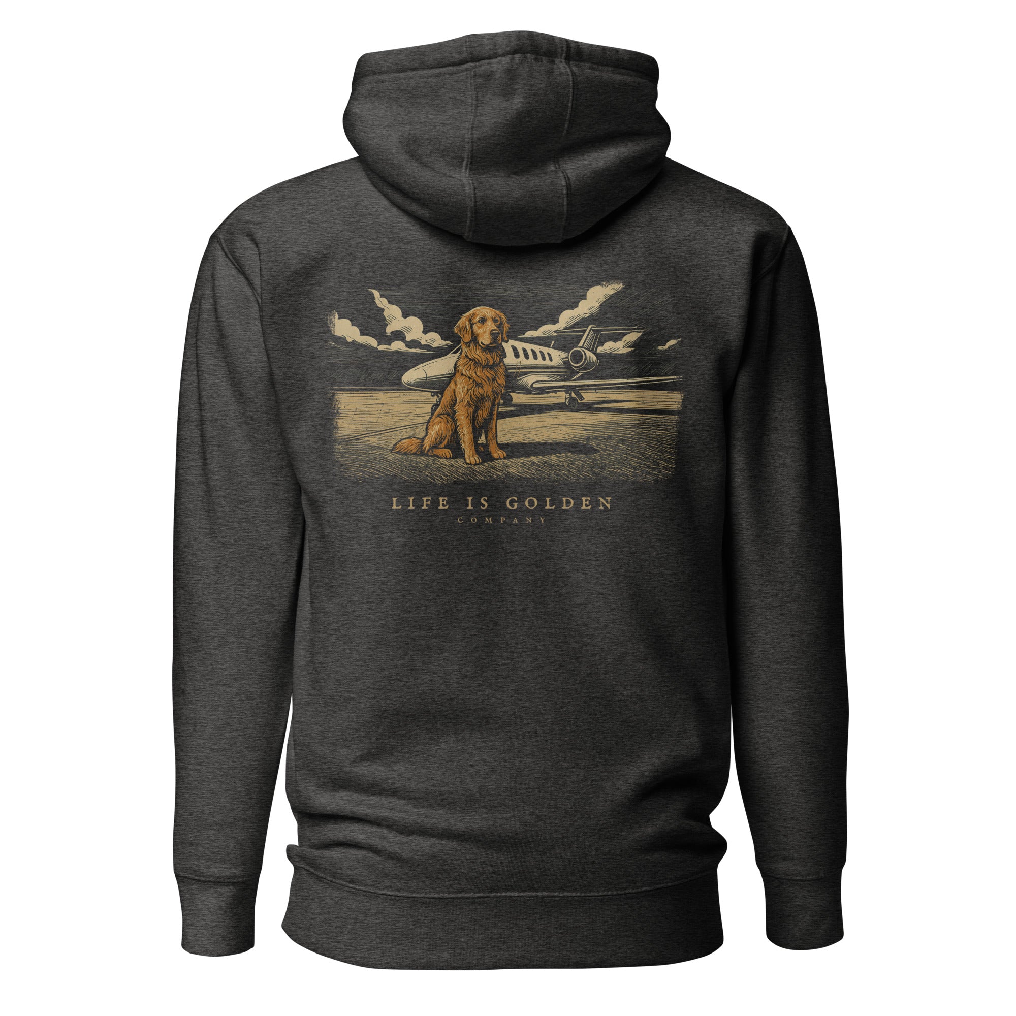 Cleared For Takeoff Hoodie