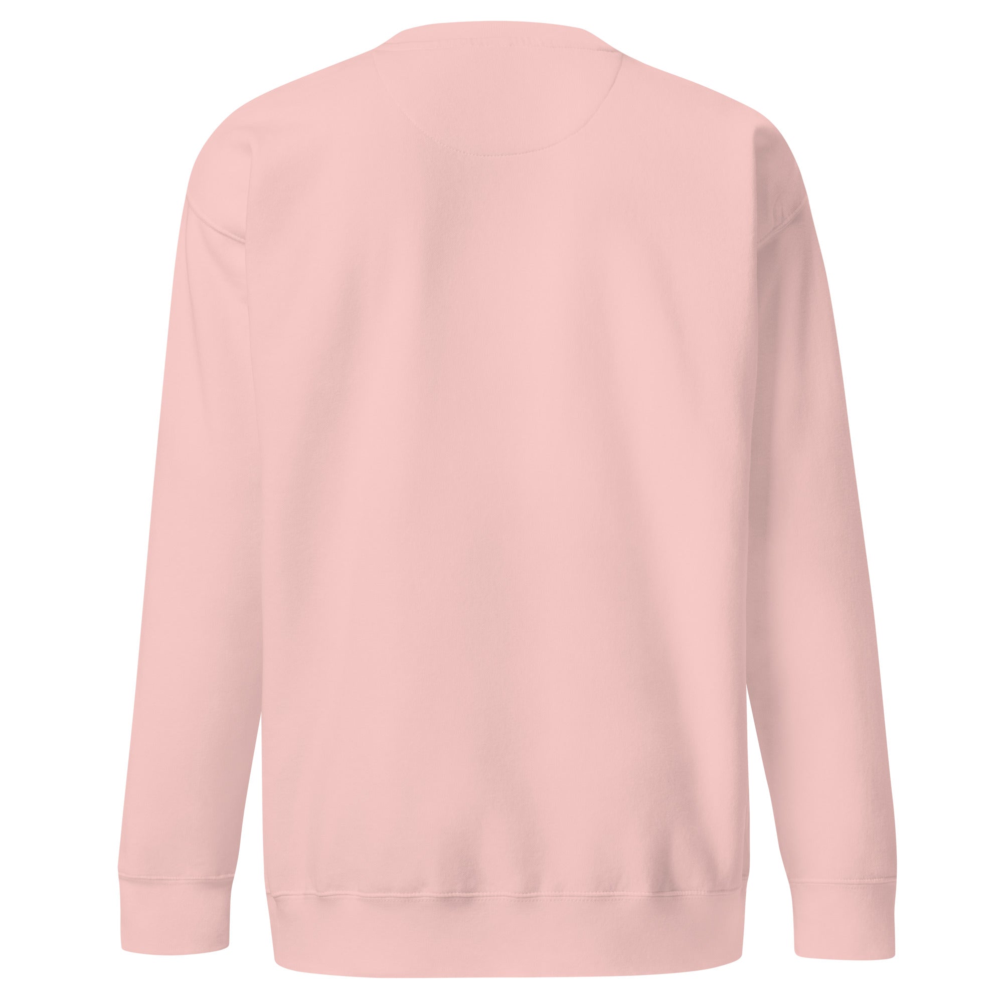 Wrightsville Beach Unisex Premium Sweatshirt