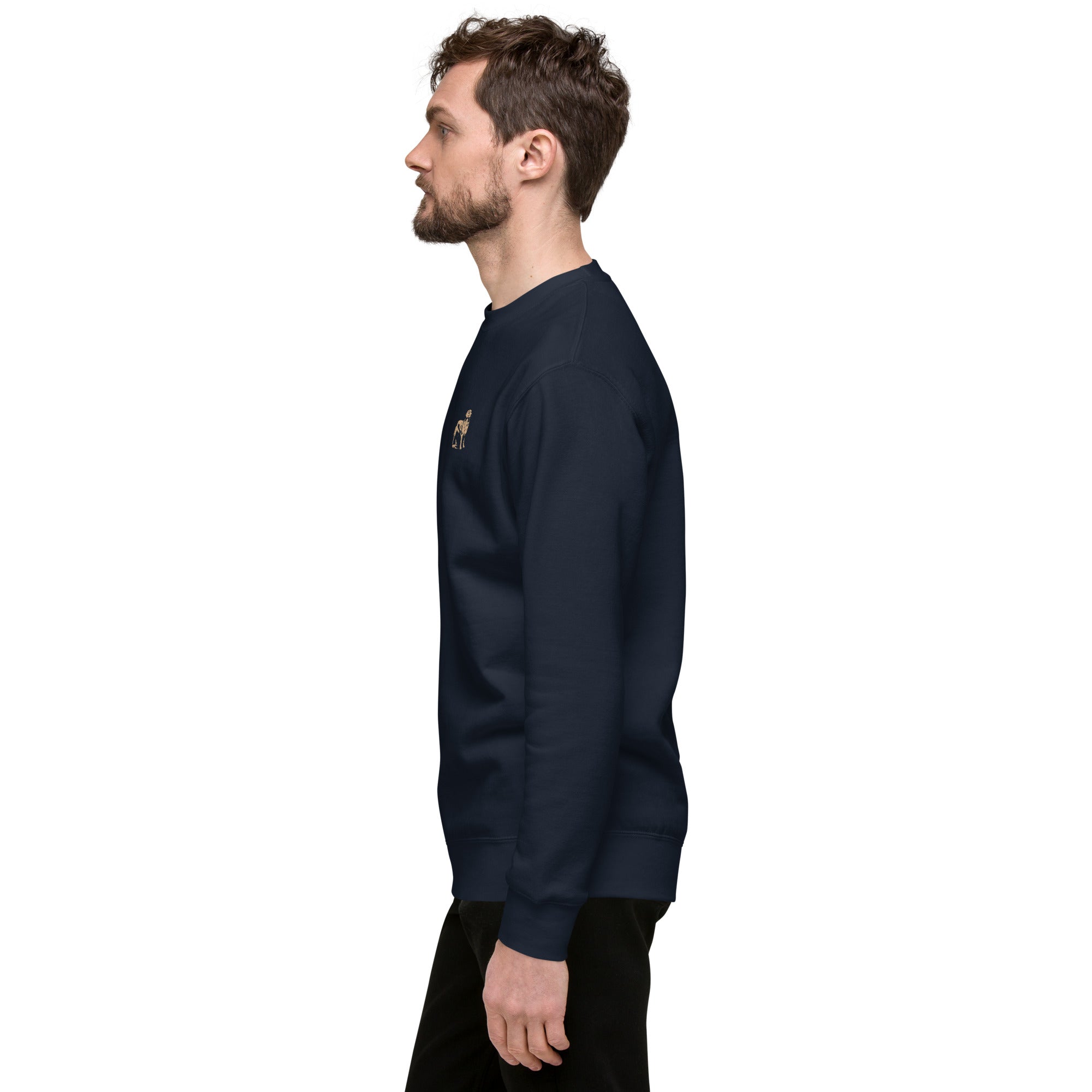 Navy &amp; Gold Sweatshirt