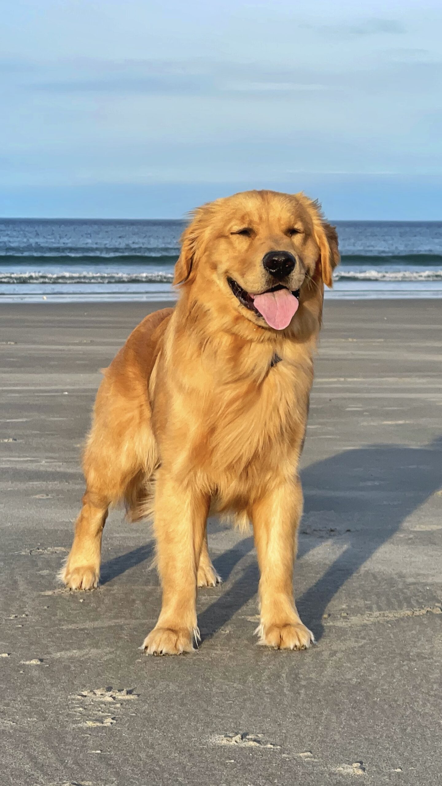 By The Beach