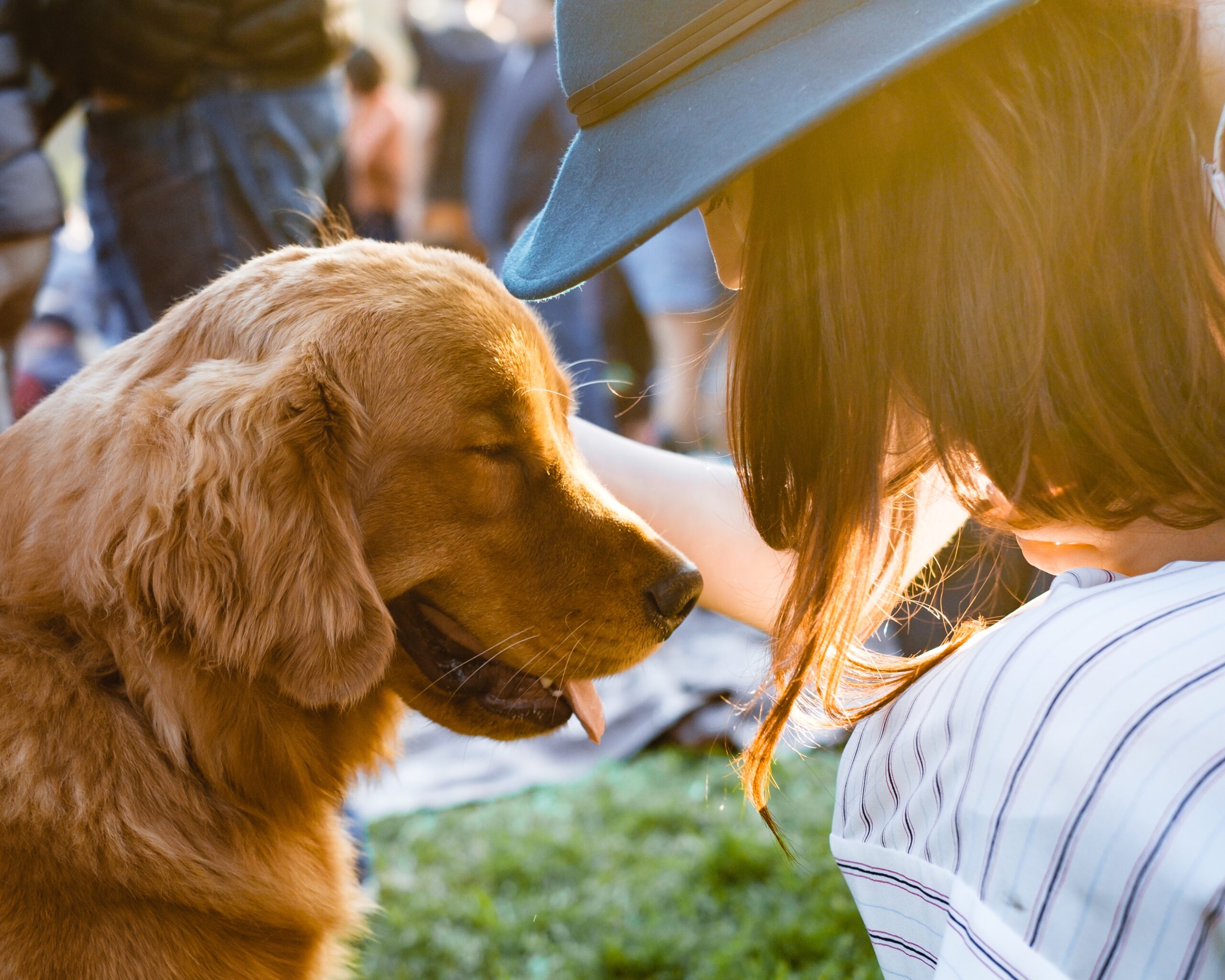 On a Mission to Harness the Transformative Power of Dogs