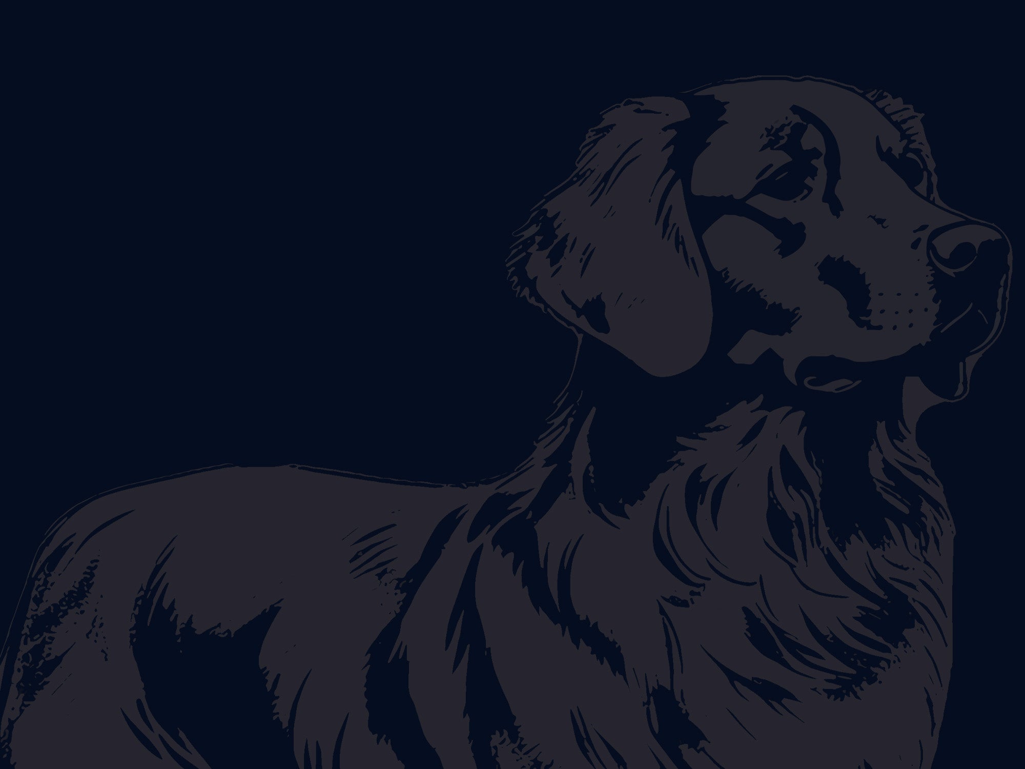 We Believe Well Trained Dogs Unlock Deeper Levels of Well Being
