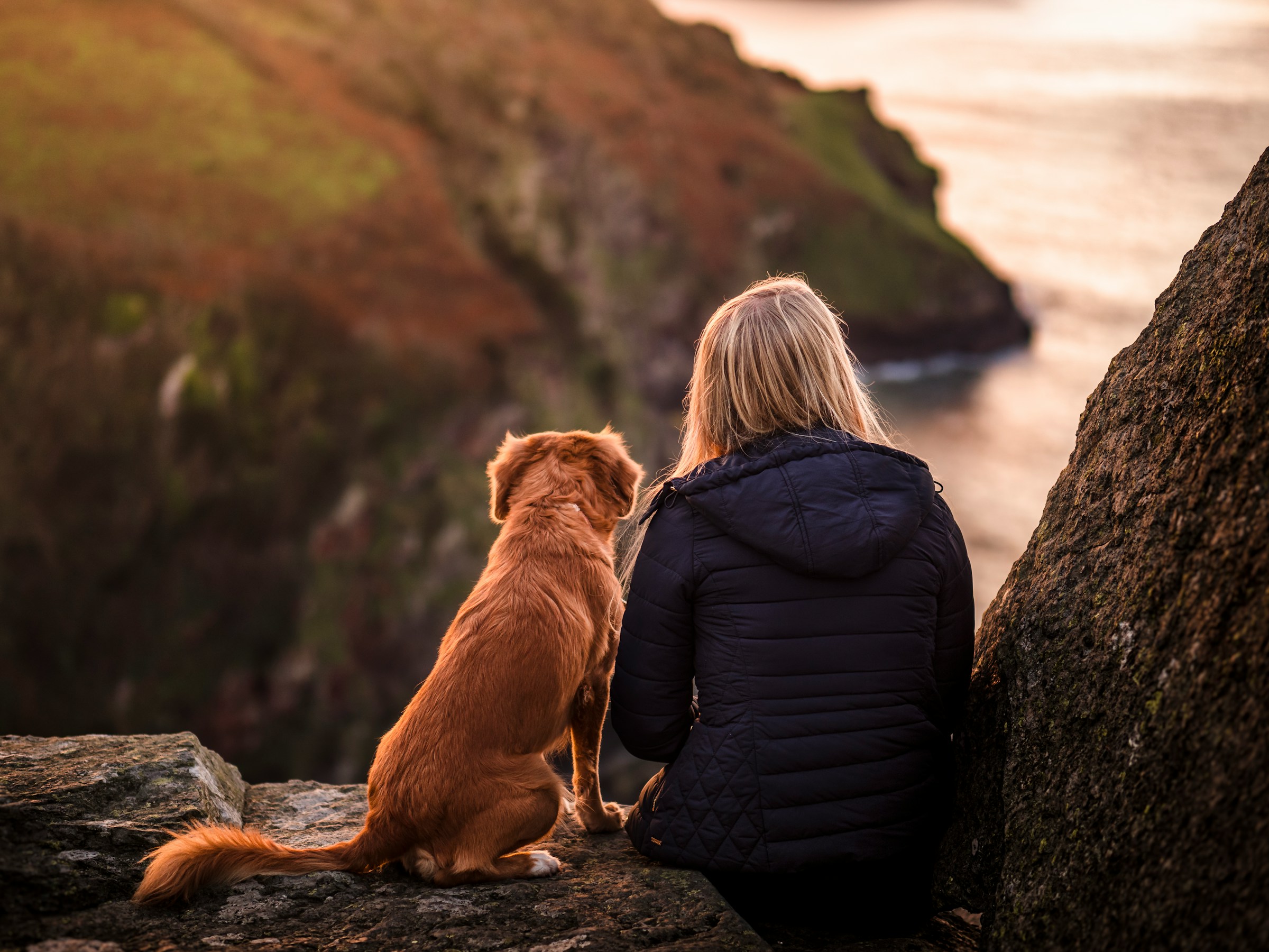 Lessons in Mindfulness from Our Dogs