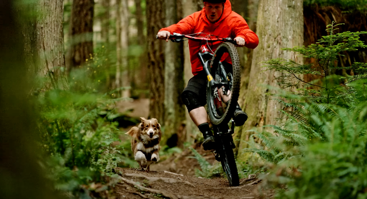 MTB Trail Dogs