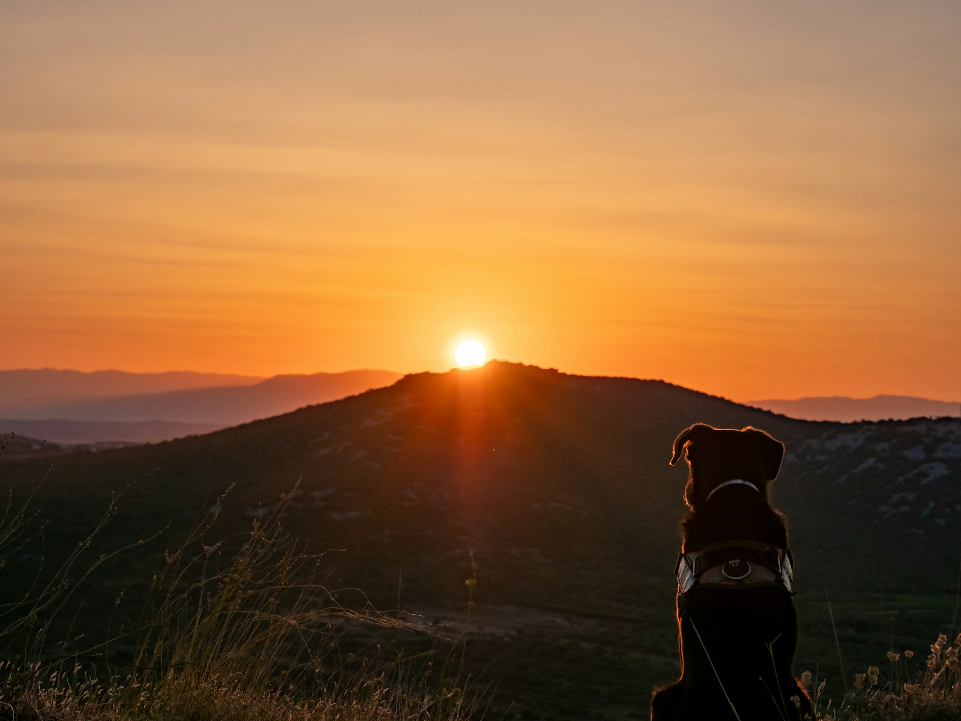 How Sunrise Walks Improve Energy & Sleep