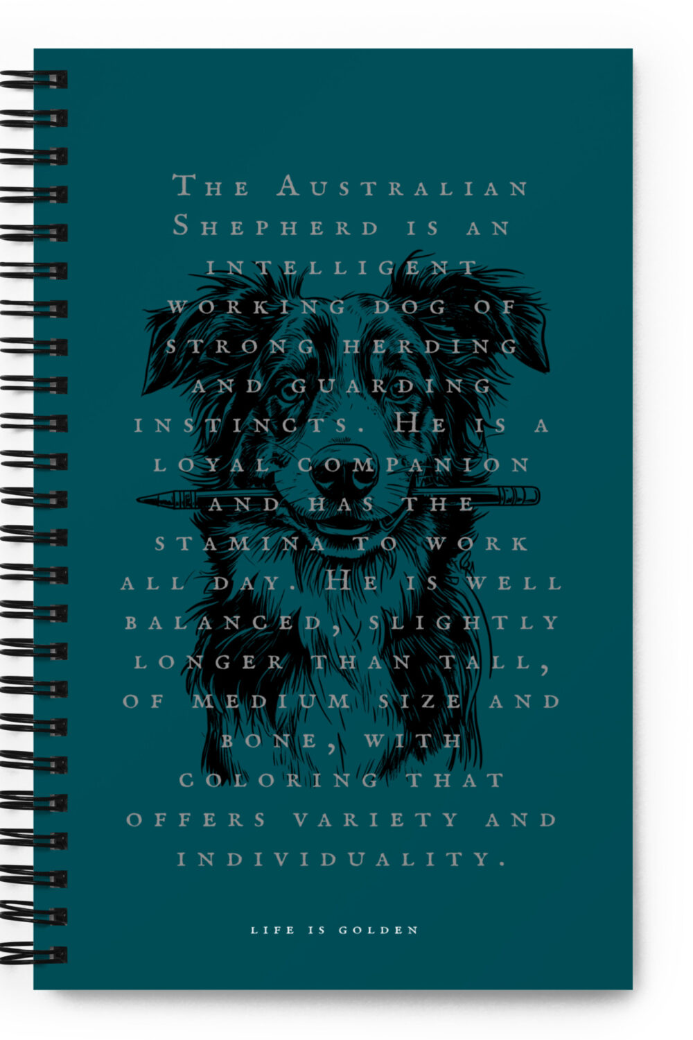 Aussie AKC Standard Notebook