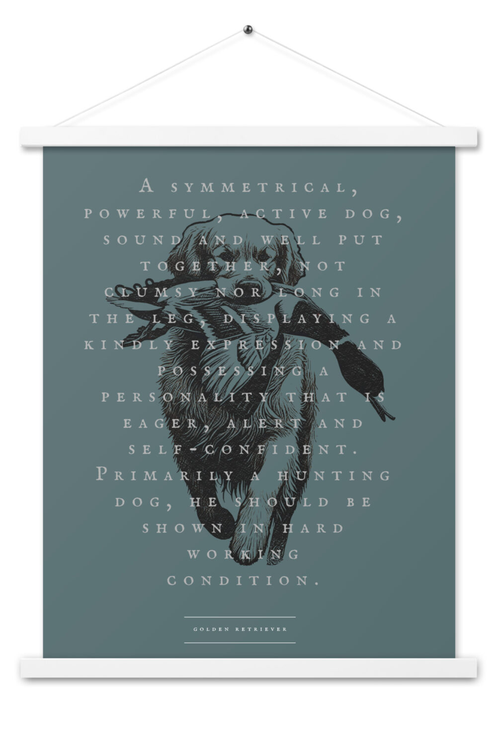 Golden AKC Standards - 18"x24" Wall Art