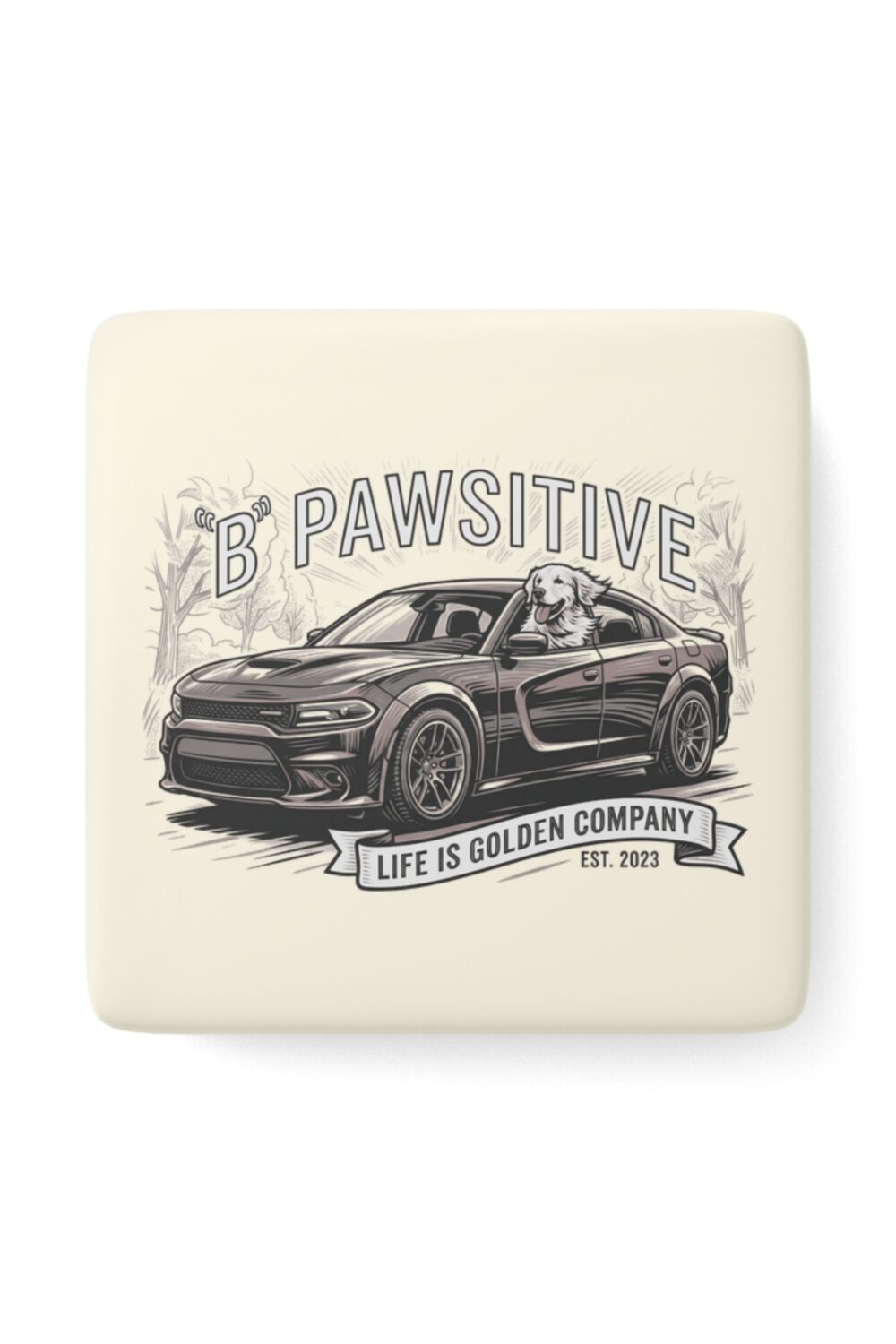 B Pawsitive Ceramic Magnet