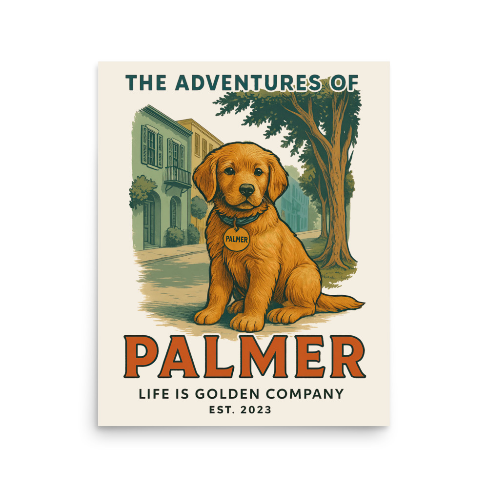 The Adventures of Palmer Poster