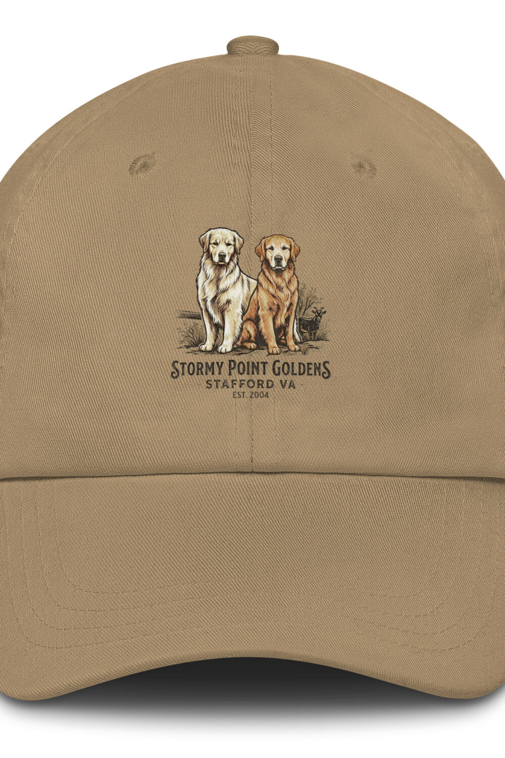 Stormy Point Dad hat